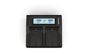 Alpha NEX-FS100EK Chargeur de batterie Duracell LED Double DSLR