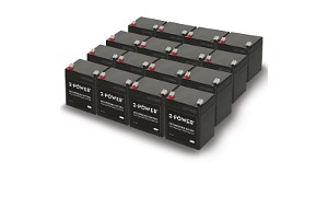 SURTD5000RMXLI Batterie